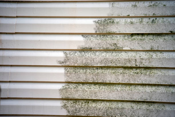  Sumiton, AL Siding Installation Pros