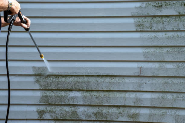 Affordable siding repair and maintenance services in Sumiton, AL