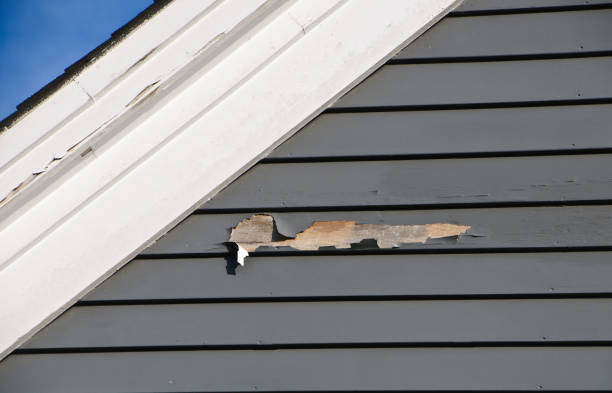 Best Engineered Wood Siding  in Sumiton, AL