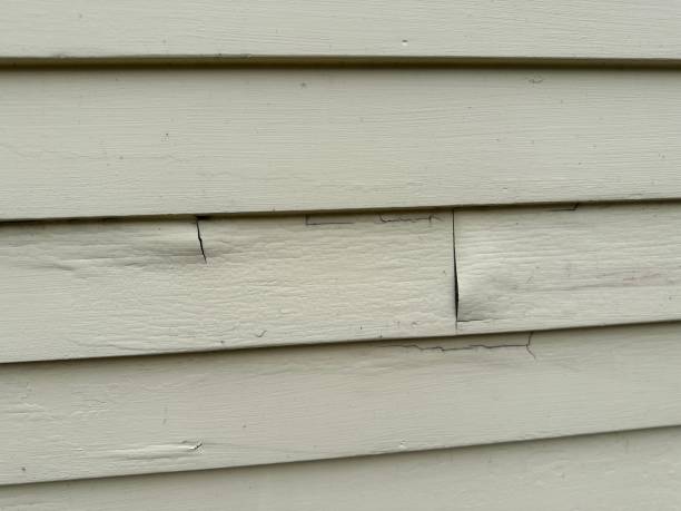 Best Fiber Cement Siding Installation  in Sumiton, AL